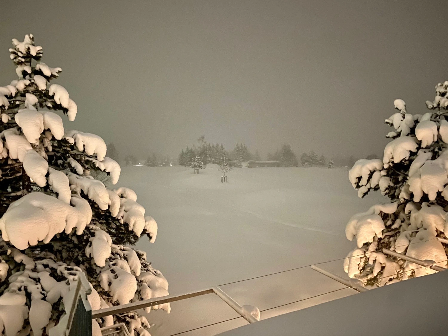 schnee4